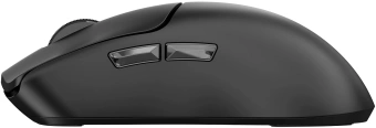 Мышь Acer OMR312 черный оптическая 3200dpi беспров. BT/Radio USB 5but (ZL.MCECC.035) - купить недорого с доставкой в интернет-магазине