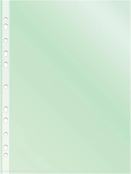 Папка-вкладыш Silwerhof Daily SD-CL ассорти глянцевые A4+ полипропилен 30мкм (упак.:50шт) - цена, купить или заказать с доставкой в интернет-магазине Папка-вкладыш Silwerhof Daily SD-CL ассорти глянцевые A4+ полипропилен 30мкм (упак.:50шт) - купить недорого с доставкой в интернет-магазине