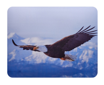 Коврик для мыши Buro BU-M40005 Мини рисунок/орёл 230x180x2мм - купить недорого с доставкой в интернет-магазине
