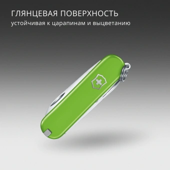 Нож перочинный Victorinox Classic SD Smashed Avocado (0.6223.43G) 58мм 7функц. подар.коробка - купить недорого с доставкой в интернет-магазине