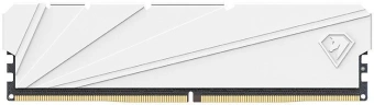 Память DDR4 2x16GB 3200MHz Netac NTSSD4P32DP-32W Shadow S RTL Gaming PC4-25600 CL16 DIMM 288-pin 1.35В kit Intel с радиатором Ret - купить недорого с доставкой в интернет-магазине