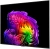 Телевизор OLED LG 55" OLED55G6RLA.ARU атласное серебро 4K Ultra HD 120Hz DVB-T2 DVB-C DVB-S2 USB WiFi Smart TV (RUS) - купить недорого с доставкой в интернет-магазине
