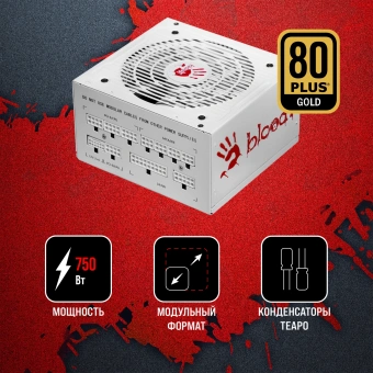 Блок питания Bloody ATX 750W BD-PS750G 80+ gold (20+4pin) APFC 120mm fan 6xSATA Cab Manag RTL - купить недорого с доставкой в интернет-магазине