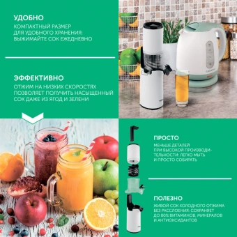 Соковыжималка шнековая Scarlett DailyPress SC-JE50S59 130Вт рез.сок.:600мл. белый - купить недорого с доставкой в интернет-магазине