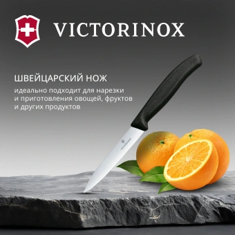 Нож кухонный Victorinox Swiss Classic (6.7703) стальной для чистки овощей и фруктов лезв.100мм прямая заточка черный - купить недорого с доставкой в интернет-магазине