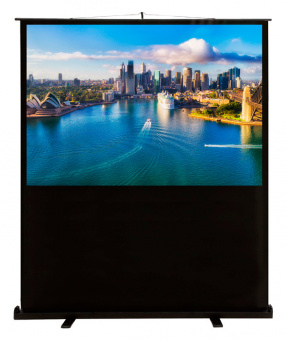 Экран Cactus 120x160см FloorCompactExpert CS-PSFLCE-160X120 4:3 напольный рулонный - купить недорого с доставкой в интернет-магазине