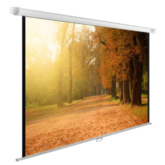 Экран Cactus 93" 125x200см WallExpert CS-PSWE-200x125-WT 16:10 настенно-потолочный рулонный - купить недорого с доставкой в интернет-магазине
