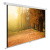Экран Cactus 93" 125x200см WallExpert CS-PSWE-200x125-WT 16:10 настенно-потолочный рулонный - купить недорого с доставкой в интернет-магазине