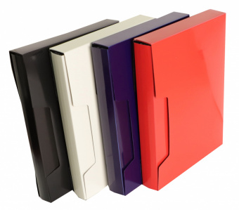 Папка с 80 прозр.вклад. Бюрократ DeLuxe DLVBOX80RED A4 пластик 0.7мм красный в коробе - купить недорого с доставкой в интернет-магазине