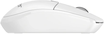 Мышь Acer OMR408 белый оптическая 1600dpi беспров. USB для ноутбука 4but (ZL.MCEEE.02Y) - купить недорого с доставкой в интернет-магазине