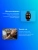 Смарт-часы Xiaomi Redmi Watch 5 Active 2" LCD корп.черный рем.черный разм.брасл.:135-205мм (BHR8784GL) - купить недорого с доставкой в интернет-магазине