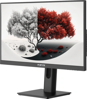 Монитор RDW Computers 23.8" RDW2401K черный IPS 4ms 16:9 HDMI матовая 300cd 178гр/178гр 1920x1080 100Hz VGA DP FHD 4.185кг (RUS) - купить недорого с доставкой в интернет-магазине