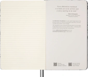 Блокнот Moleskine LIMITED EDITION NASA-INSPIRED SKNTBHL7063S1 Large 130х210мм 176стр. линейка серебристый Moon - купить недорого с доставкой в интернет-магазине