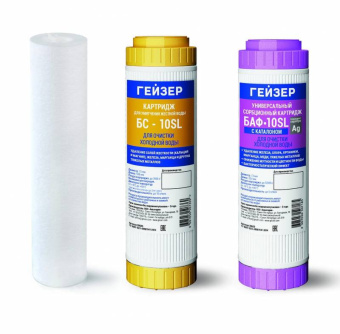 Комплект картриджей Гейзер С-2 для проточных фильтров (упак.:3шт) - цена, купить или заказать с доставкой в интернет-магазине Комплект картриджей Гейзер С-2 для проточных фильтров (упак.:3шт) - купить недорого с доставкой в интернет-магазине