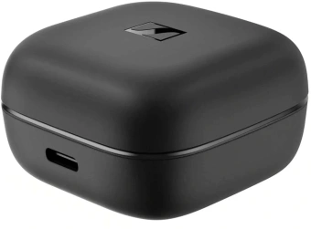 Наушники внутриканальные Sennheiser Accentum True Wireless черный беспроводные bluetooth оголовье (ACCENTUM TRUE WIRELESS BL) - купить недорого с доставкой в интернет-магазине