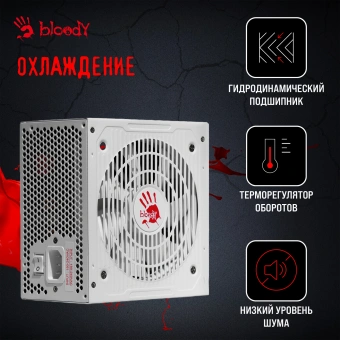 Блок питания Bloody ATX 750W BD-PS750G 80+ gold (20+4pin) APFC 120mm fan 6xSATA Cab Manag RTL - купить недорого с доставкой в интернет-магазине
