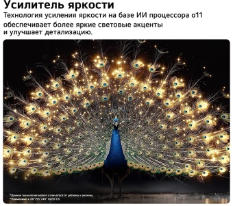 Телевизор OLED LG 65" OLED65C6RLA.ARU черный/серебристый 4K Ultra HD 120Hz DVB-T DVB-T2 DVB-C DVB-S2 USB WiFi Smart TV (RUS) - купить недорого с доставкой в интернет-магазине