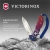 Нож перочинный Victorinox Evoke Alox (0.9415.D221) 136мм 5функц. синий/красный подар.коробка в комплекте: паракорд - купить недорого с доставкой в интернет-магазине