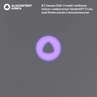 Умная колонка Yandex Станция Лайт 2 Алиса графитовый 6W 1.0 BT/Wi-Fi 10м (YNDX-00026GRY) - купить недорого с доставкой в интернет-магазине