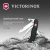 Нож перочинный Victorinox Forester (0.8363.3) 111мм 12функц. черный карт.коробка - купить недорого с доставкой в интернет-магазине
