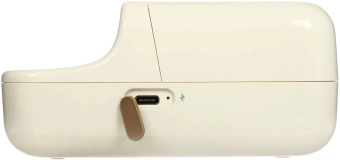 Термопринтер Niimbot B21S (1746728) 203dpi 60мм/с/USB/BT для печ.этик. белый - купить недорого с доставкой в интернет-магазине