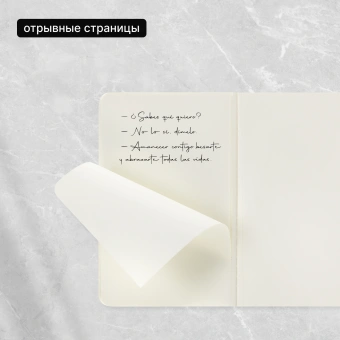 Блокнот Moleskine CAHIER JOURNAL QP413 Pocket 90x140мм обложка картон 64стр. нелинованный бежевый (3шт) - купить недорого с доставкой в интернет-магазине