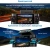Видеорегистратор TrendVision Proof 360 GPS Ultra черный 2Mpix 2160x3840 2160p 150гр. GPS SigmaStar SSC8838G - цена, купить или заказать с доставкой в интернет-магазине Видеорегистратор TrendVision Proof 360 GPS Ultra черный 2Mpix 2160x3840 2160p 150гр. GPS SigmaStar SSC8838G - купить недорого с доставкой в интернет-магазине