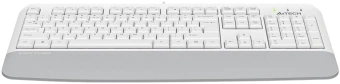 Клавиатура A4Tech Fstyler FK20 белый USB Multimedia (подставка для запястий) (FK20) кабель 1.5м - купить недорого с доставкой в интернет-магазине
