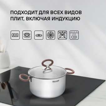 Кастрюля Rondell Etery RDS-1599 3.1л. d=20см (с крышкой) стальной - купить недорого с доставкой в интернет-магазине