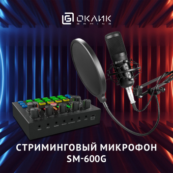 Микрофон проводной Оклик SM-600G 2.5м черный - купить недорого с доставкой в интернет-магазине