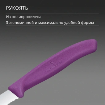 Нож кухонный Victorinox Swiss Classic (6.7635.C1) стальной универсальный для чистки овощей и фруктов лезв.80мм серрейт. заточка пурпурный - купить недорого с доставкой в интернет-магазине