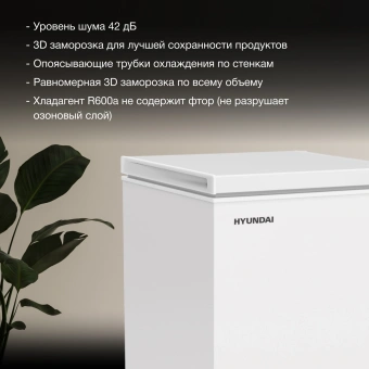 Морозильный ларь Hyundai CH10081 белый 70Вт - купить недорого с доставкой в интернет-магазине