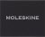 Шильд-символ Moleskine Zodiac Овен металл золотистый коробка с европод. PINARIESGOLD - купить недорого с доставкой в интернет-магазине