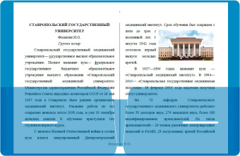 Папка-уголок Бюрократ -E570 2 внутр.карман A4 пластик 0.18мм ассорти - купить недорого с доставкой в интернет-магазине