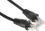 Патч-корд Buro UTP 4 пары cat.5E CCA molded 0.25м черный RJ-45 (m)-RJ-45 (m) - купить недорого с доставкой в интернет-магазине