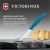 Нож кухонный Victorinox Swiss Classic (6.7632.C1) стальной универсальный для чистки овощей и фруктов лезв.80мм серрейт. заточка синий - купить недорого с доставкой в интернет-магазине