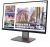 Монитор Lenovo 27" ThinkVision P27qd-40 черный IPS LED 4ms 16:9 HDMI матовая HAS Piv 350cd 178гр/178гр 2560x1440 120Hz DP QHD USB 6.8кг - купить недорого с доставкой в интернет-магазине