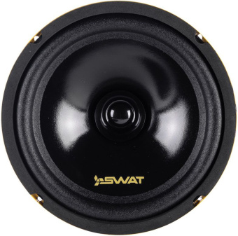 Колонки автомобильные Swat SP-H8v2 280Вт 92дБ 4Ом 20см (8дюйм) (ком.:2кол.) широкополосные однополосные - купить недорого с доставкой в интернет-магазине