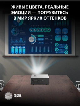 Проектор Cactus CS-C4.SG DLP 45600Lm LS 2850Lm ANSI (1920x1080) 800000:1 ресурс лампы:25000часов 1xUSB typeA 2xHDMI 6.8кг - купить недорого с доставкой в интернет-магазине