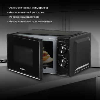 Микроволновая Печь Hyundai HYM-M2045 20л. 700Вт черный - купить недорого с доставкой в интернет-магазине