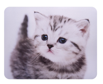 Коврик для мыши Buro BU-M40087 Мини рисунок/котенок 230x180x2мм - купить недорого с доставкой в интернет-магазине