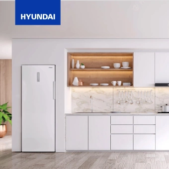 Морозильная камера Hyundai CU2505F белый - цена, купить или заказать с доставкой в интернет-магазине Морозильная камера Hyundai CU2505F белый - купить недорого с доставкой в интернет-магазине
