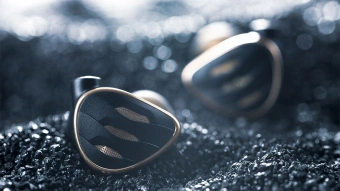 Наушники вкладыши Fiio FH5S 1.2м черный/медный проводные в ушной раковине (80001473) - купить недорого с доставкой в интернет-магазине