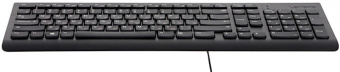 Клавиатура Lenovo 300 черный USB для ноутбука - купить недорого с доставкой в интернет-магазине
