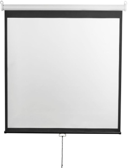 Экран Digis 112" 200x200см Optimal-D DSOD-1105 1:1 настенно-потолочный рулонный - купить недорого с доставкой в интернет-магазине