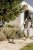 Строительный пылесос Karcher WD 3 S V-19/4/20 (YSY) 1000Вт (уборка: сухая/влажная/выдув/сбор воды) желтый - купить недорого с доставкой в интернет-магазине