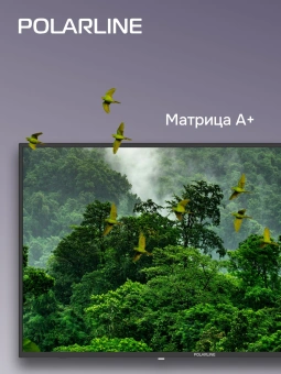 Телевизор LED PolarLine 43" 43PL51TC черный FULL HD 60Hz DVB-T DVB-T2 DVB-C USB (RUS) - купить недорого с доставкой в интернет-магазине
