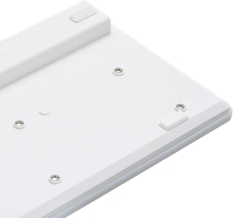 Клавиатура Оклик 550ML белый USB slim Multimedia LED - цена, купить или заказать с доставкой в интернет-магазине Клавиатура Оклик 550ML белый USB slim Multimedia LED - купить недорого с доставкой в интернет-магазине
