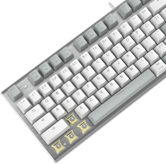 Клавиатура A4Tech Fstyler FS100 Neon механическая серый/белый USB for gamer LED (FS100) - купить недорого с доставкой в интернет-магазине