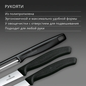 Набор ножей кухон. Victorinox Swiss Classic 6.7113.33 для овощей компл.:3предм. овощеч. черный европодвес - купить недорого с доставкой в интернет-магазине